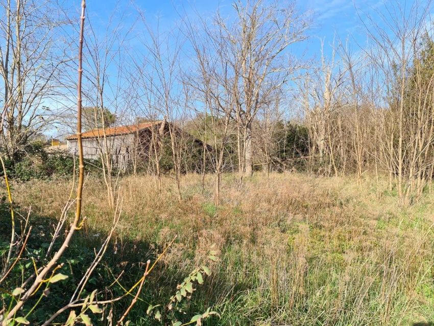Image de terrain à Grayan-et-l'Hôpital