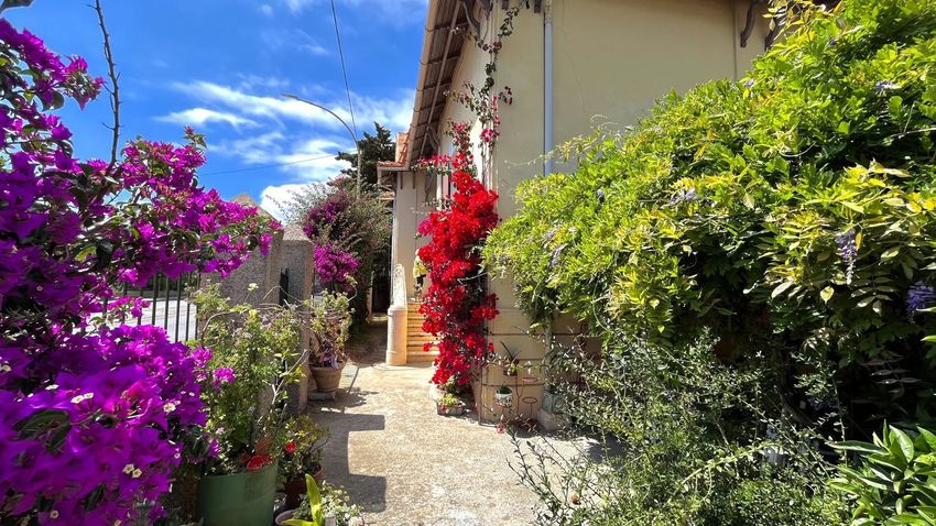 Image Jardin à  maison individuelle de La Seyne-sur-Mer