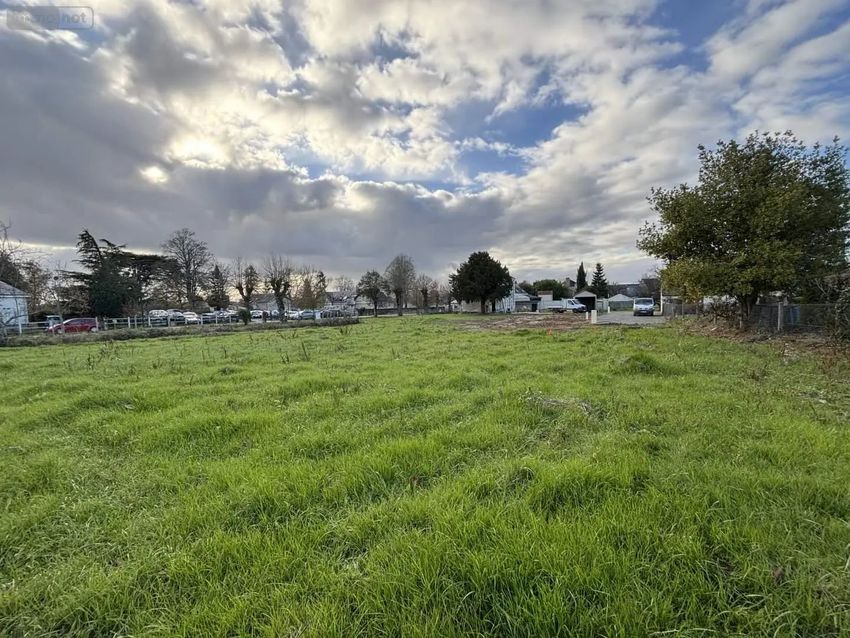 Image de terrain à Semblançay