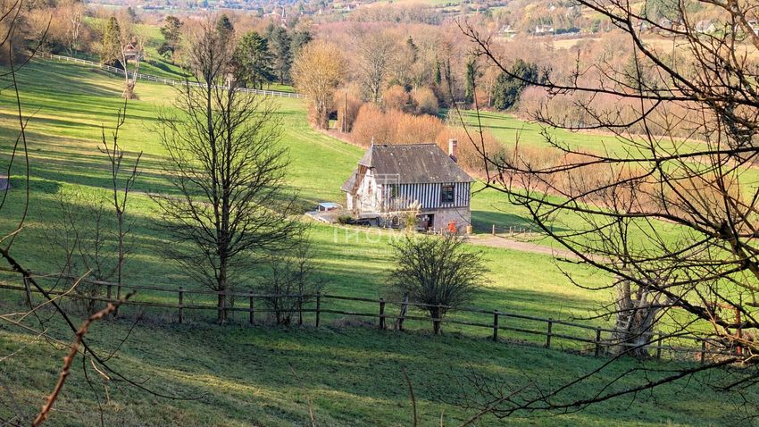 Image Jardin à  manoir de Hermival-les-Vaux