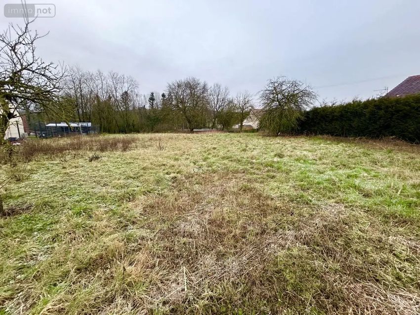 Image de terrain à Louvencourt
