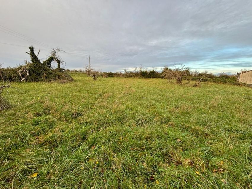Image de terrain à Échiré