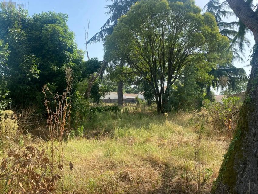 Image de terrain à Vayres