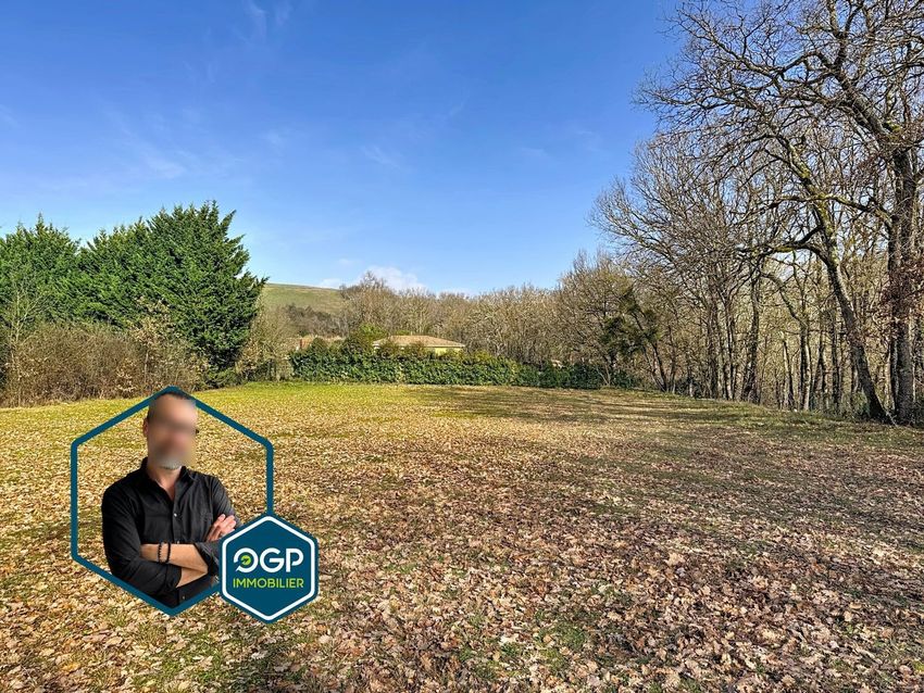 Image de terrain à Bessières