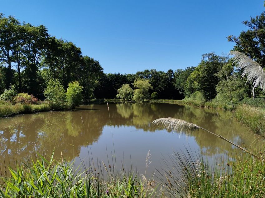 Image Vue à terrain de Dingé