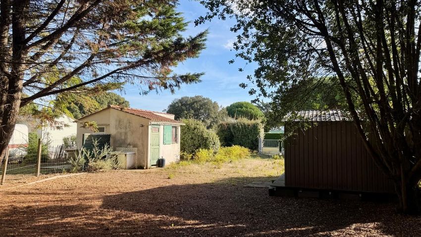 Image de terrain à La Couarde-sur-Mer