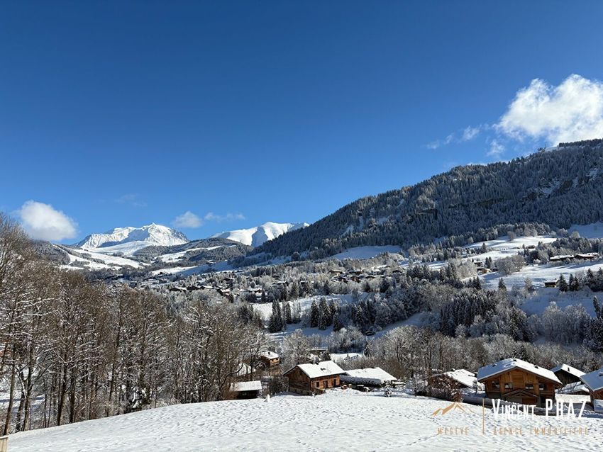 Image Vue à terrain de Megève