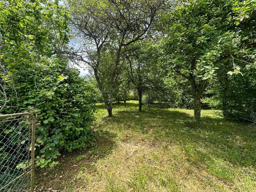Image de terrain à Mont-Saint-Père