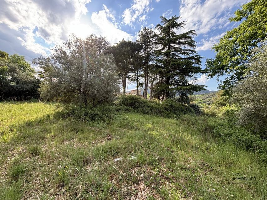 Image de terrain à Moulès-et-Baucels