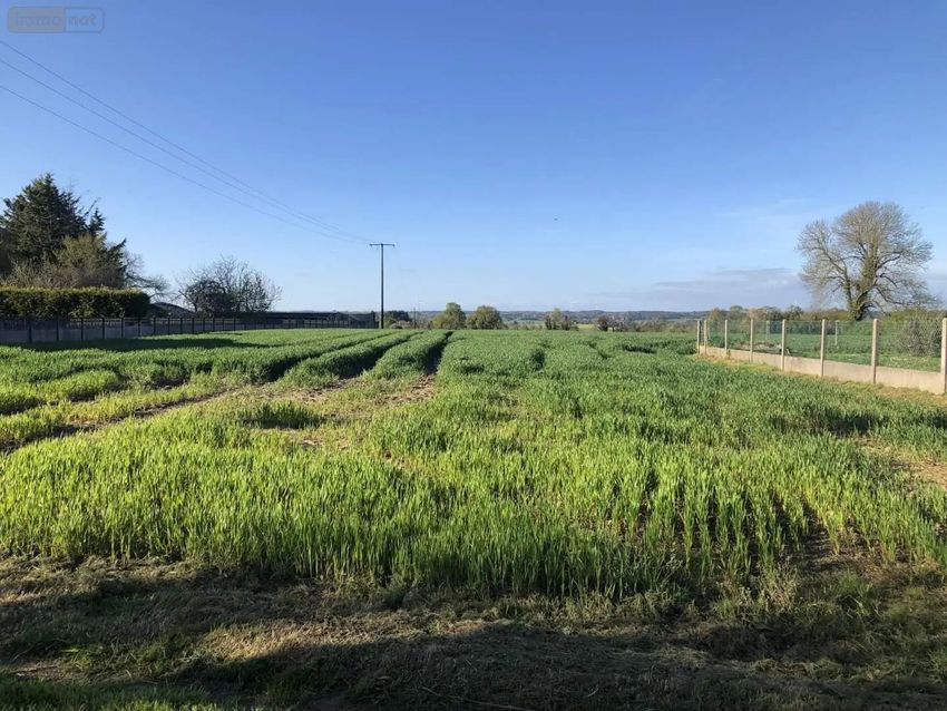 Image de terrain à Peillac