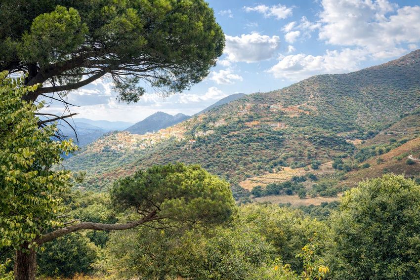 Image Vue à terrain de Occhiatana