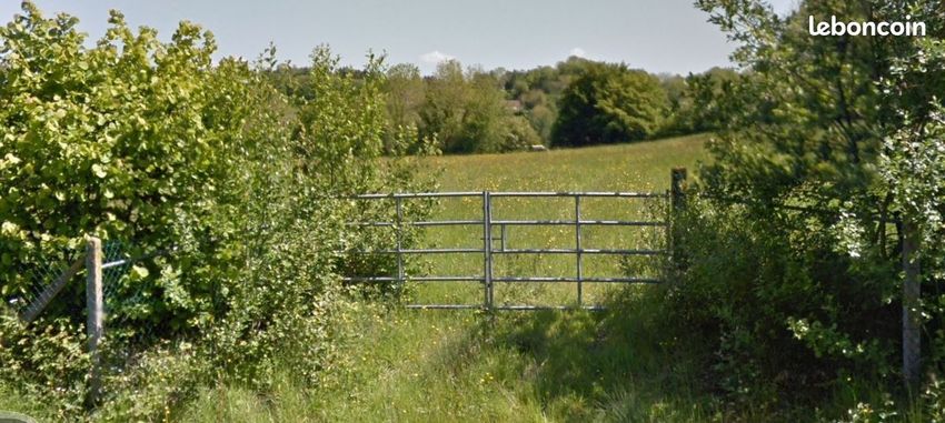 Image de terrain à Le Breuil-en-Auge