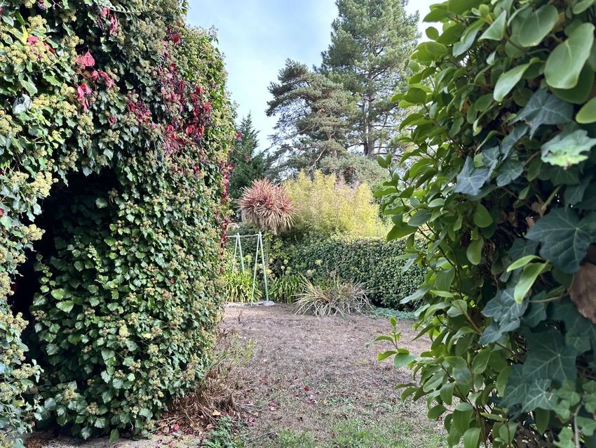 Image Jardin à  maison individuelle de Lorient