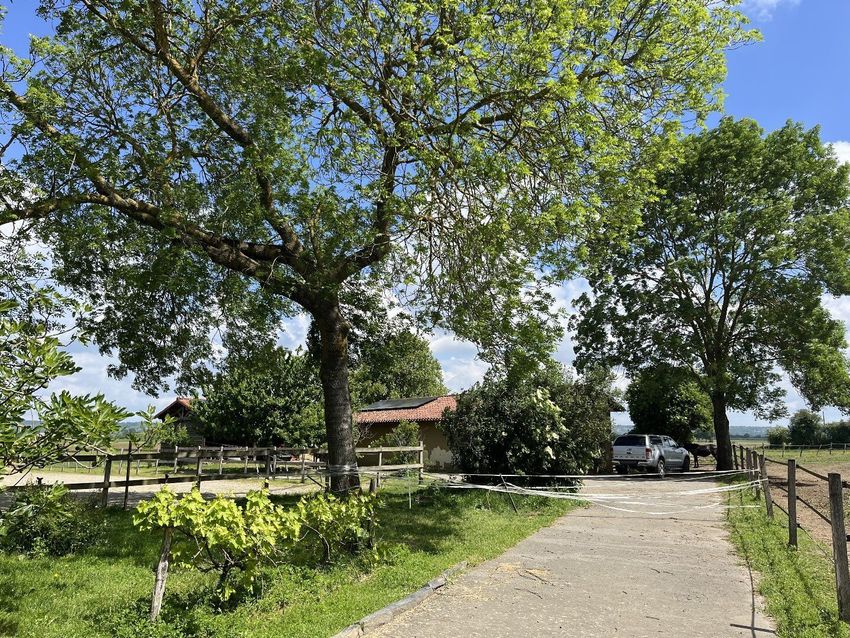 Image Jardin à  maison individuelle de Martres-de-Rivière
