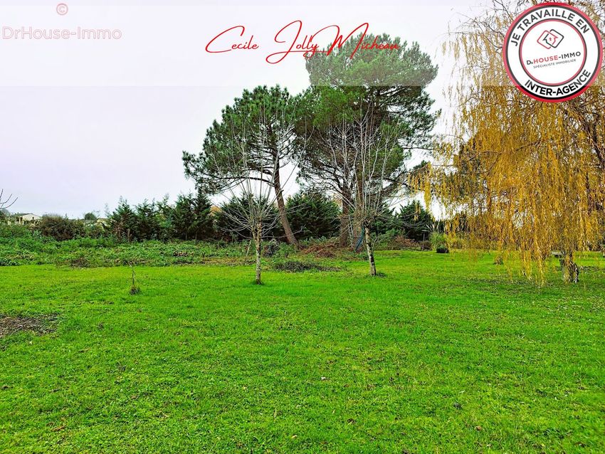 Image de terrain à Cartelègue