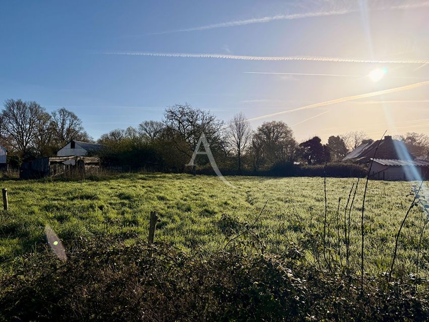 Image de terrain à Jans