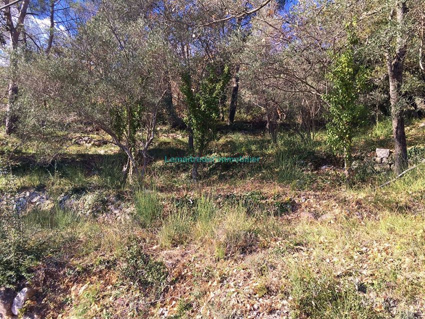 Image de terrain à Saint-Cézaire-sur-Siagne