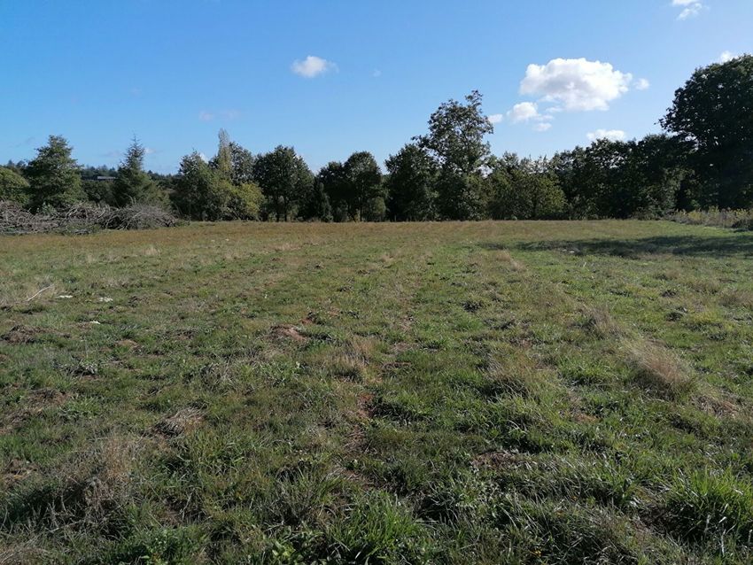 Image de terrain à Ploërmel