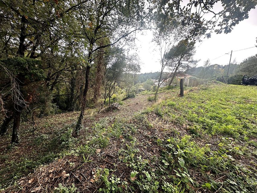 Image de terrain à La Gaude