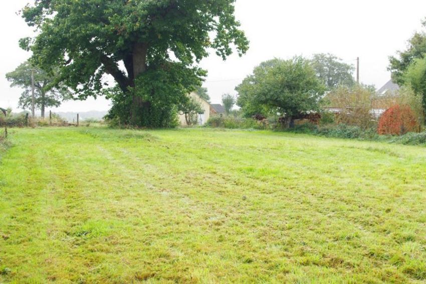 Image de terrain à Saint-Germain-d'Esteuil