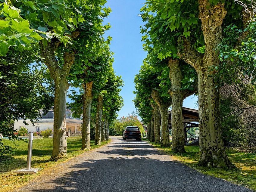 Image Jardin à  manoir de Pessac