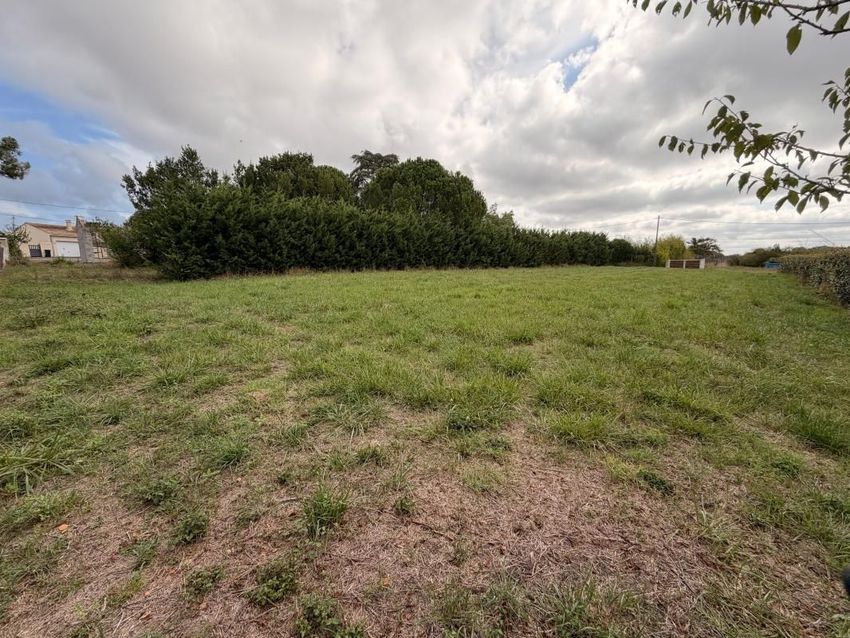 Image de terrain à Arvert