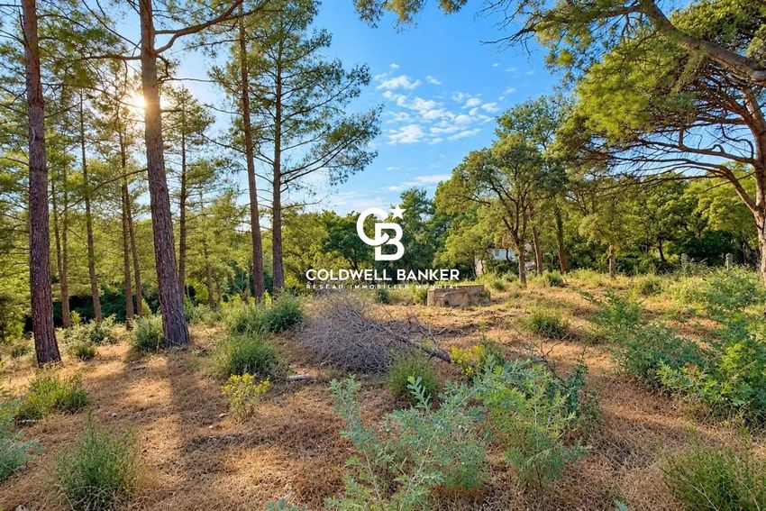Image de terrain à Grimaud