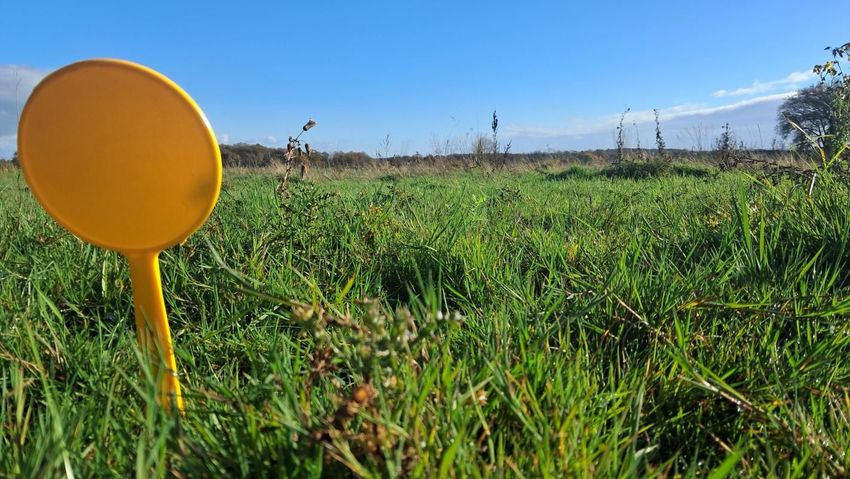 Image de terrain à Teillay