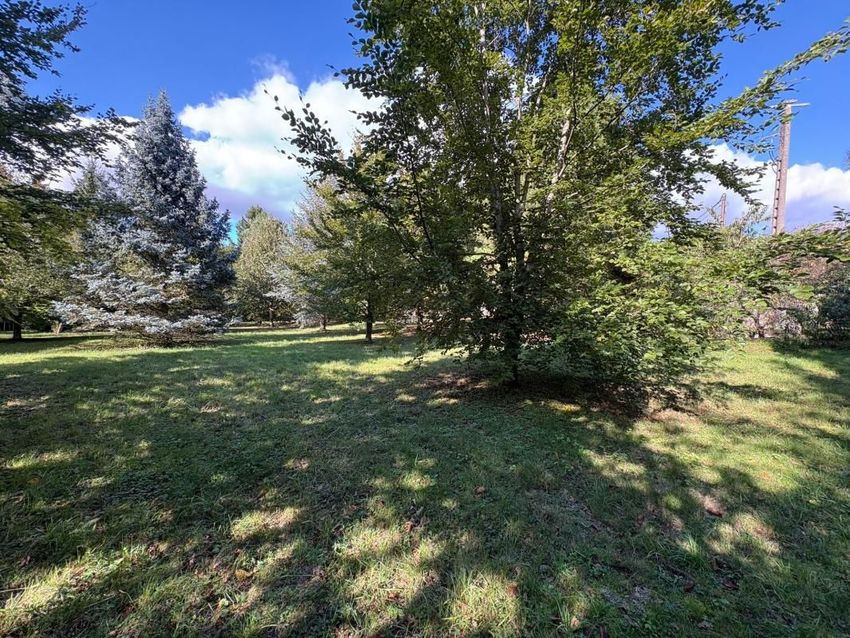 Image de terrain à Saâcy-sur-Marne