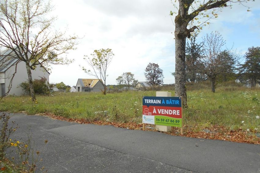 Image de terrain à Langeais