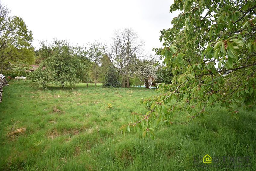 Image de terrain à Anould