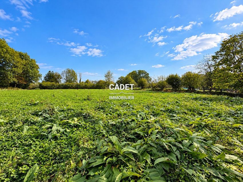 Image de terrain à La Haye-Pesnel