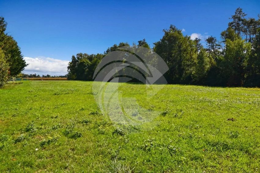 Image de terrain à Nègrepelisse