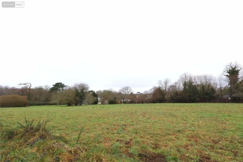 Image de terrain à Quimper