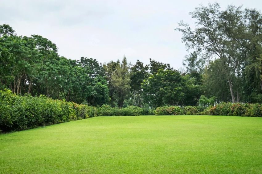 Image Jardin à  maison individuelle de Morainvilliers
