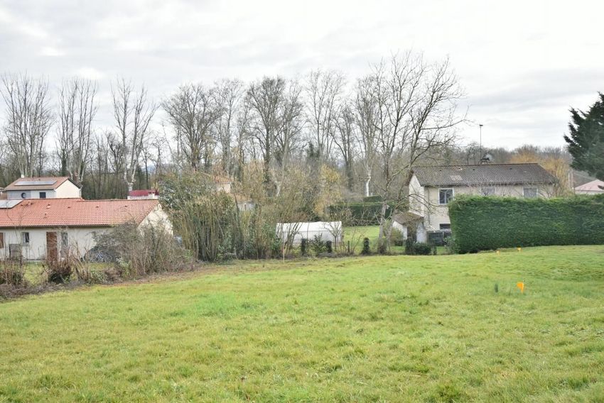 Image de terrain à Villieu-Loyes-Mollon
