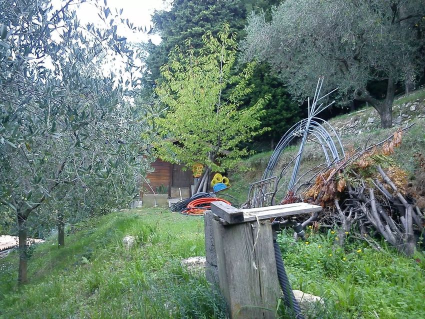 Image Jardin à  maison individuelle de Châteauneuf-Grasse