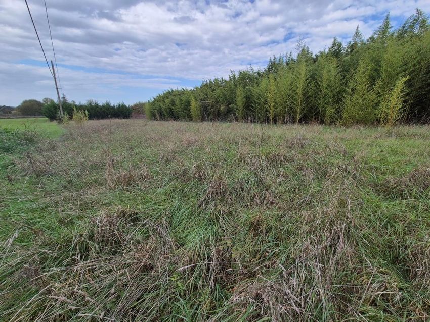 Image Vue à terrain de Garidech