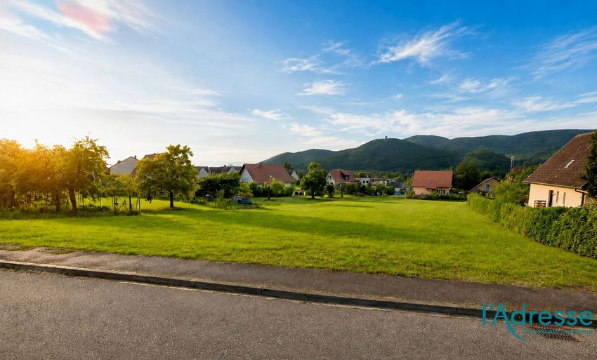 Image de terrain à Zimmerbach