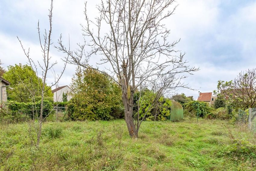 Image Jardin à  maison individuelle de Noisy-le-Grand
