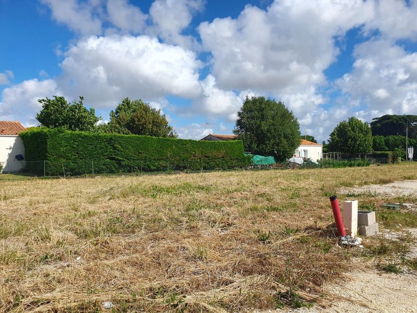 Image de terrain à Saint-Georges-de-Didonne