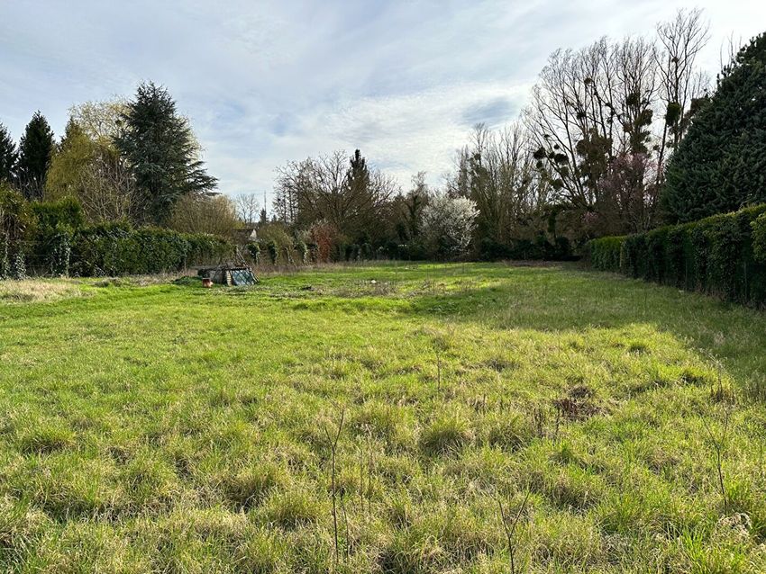 Image de terrain à Thiers-sur-Thève