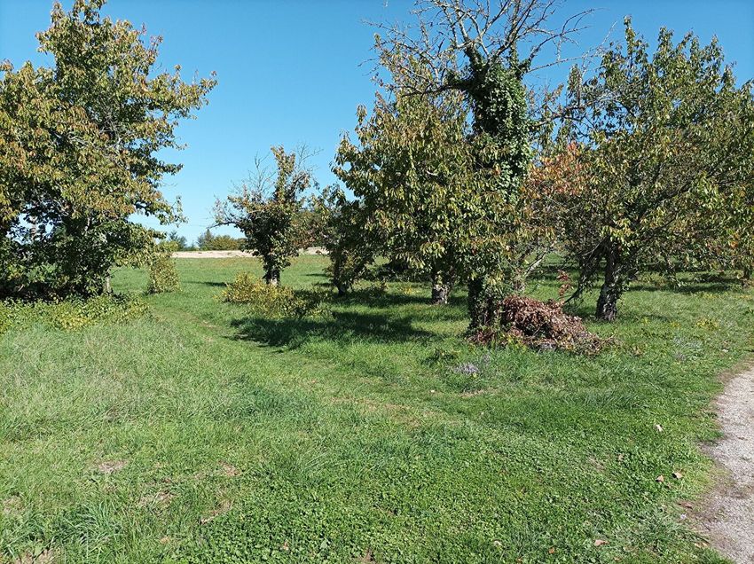 Image de terrain à Saint-Vincent-Rive-d'Olt