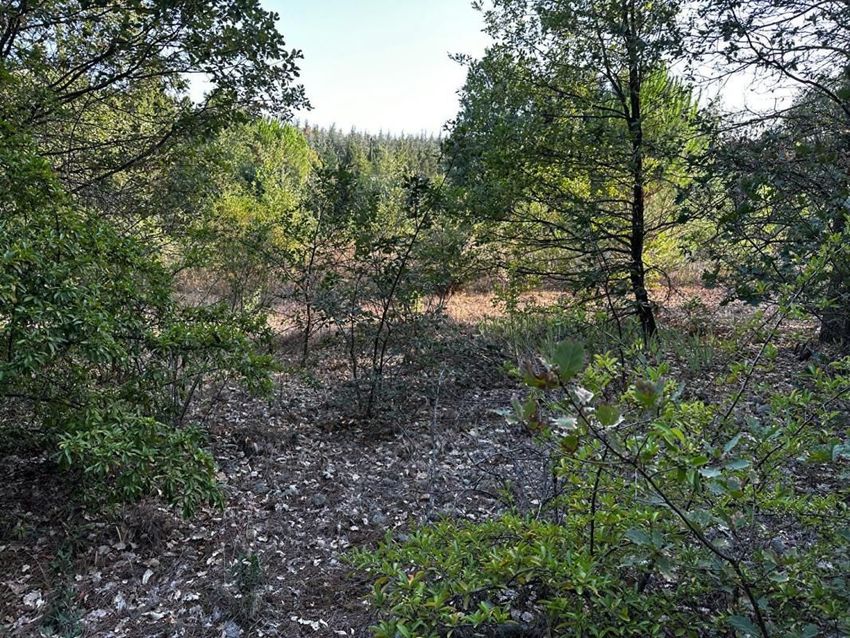 Image de terrain à Lauraguel