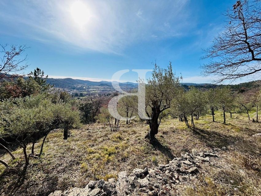 Image Vue à terrain de Buis-les-Baronnies
