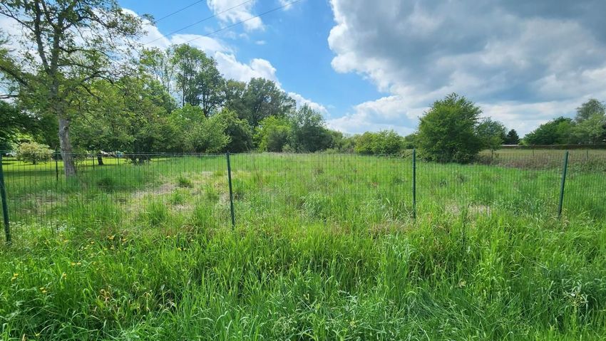 Image de terrain à Beauchamps-sur-Huillard
