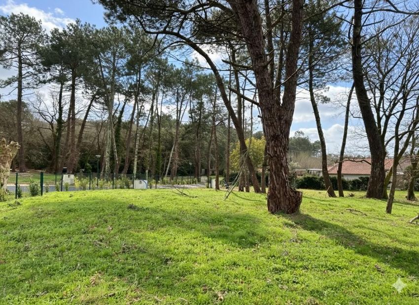 Image de terrain à Labenne