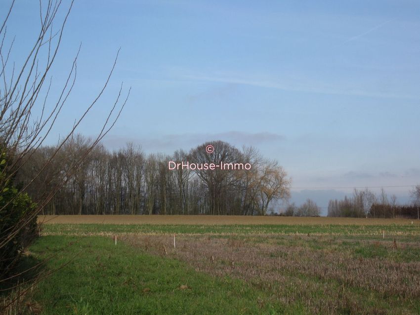 Image de terrain à Bersée