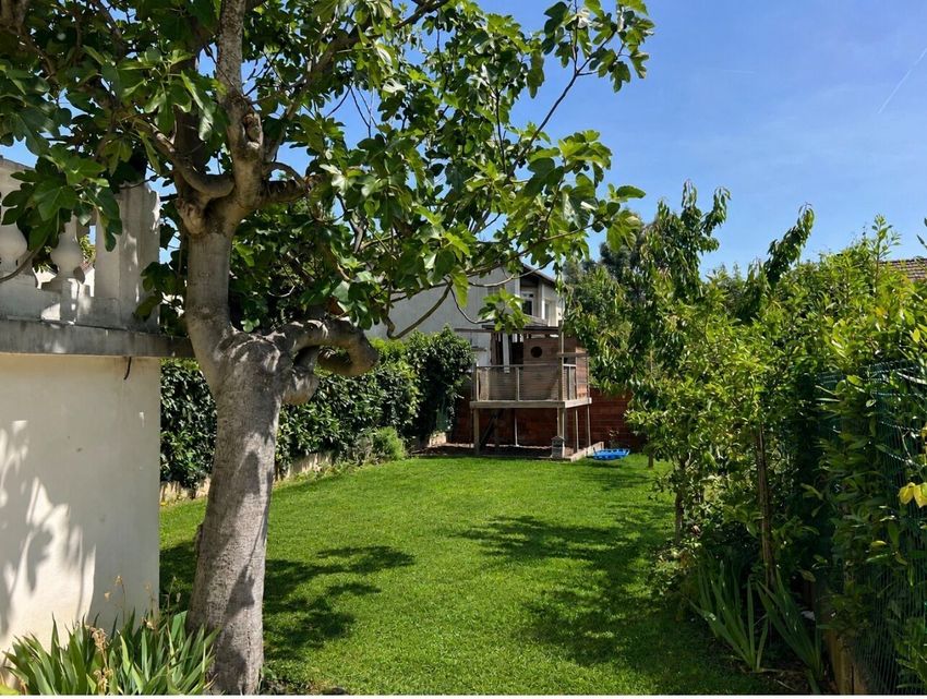 Image Jardin à  maison individuelle de Clamart