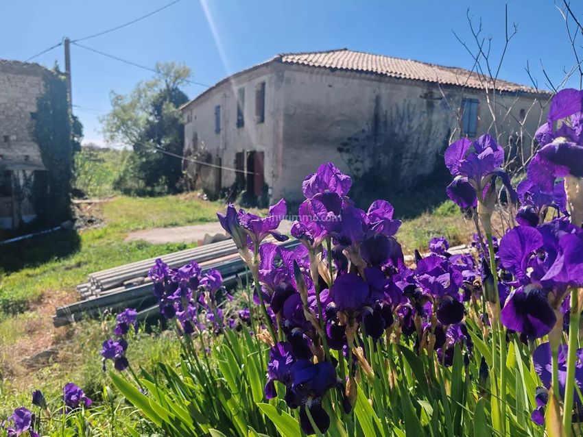 Image Jardin à  ferme de Florentin
